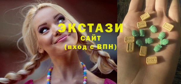 мдпв Новозыбков