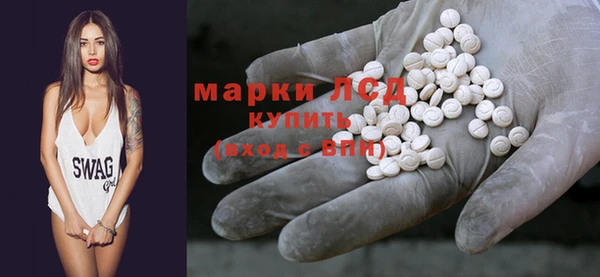 мдпв Новозыбков