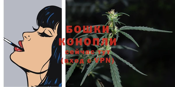 мдпв Новозыбков