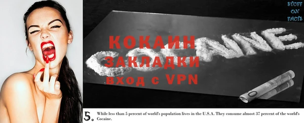 мдпв Новозыбков