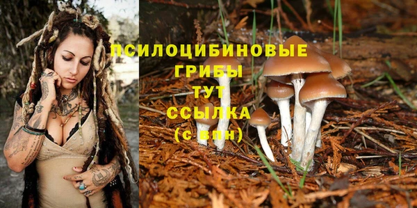 a pvp Новокубанск