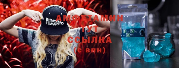 мдпв Новозыбков