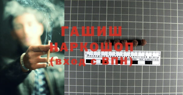 хмурый Няндома
