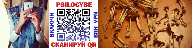 Галлюциногенные грибы Psilocybe  Нижняя Тура 