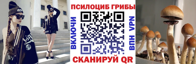 Псилоцибиновые грибы ЛСД Нижняя Тура